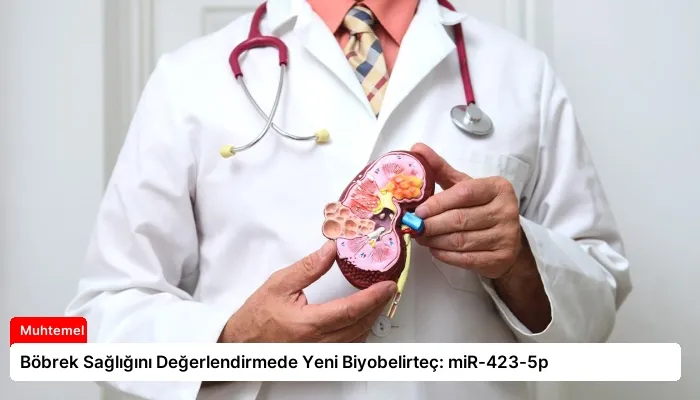 Böbrek Sağlığını Değerlendirmede Yeni Biyobelirteç: miR-423-5p