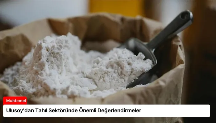 Ulusoy’dan Tahıl Sektöründe Önemli Değerlendirmeler