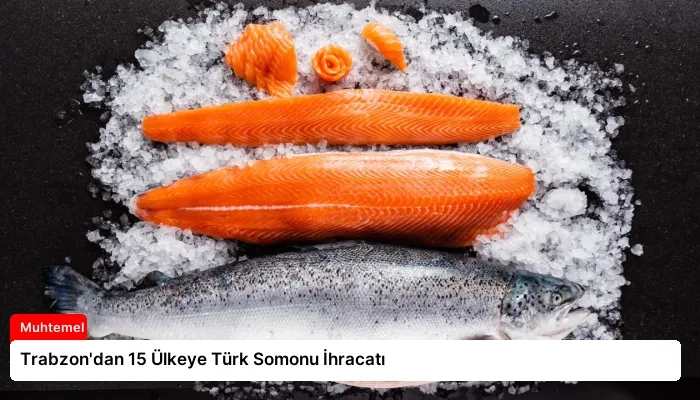 Trabzon’dan 15 Ülkeye Türk Somonu İhracatı