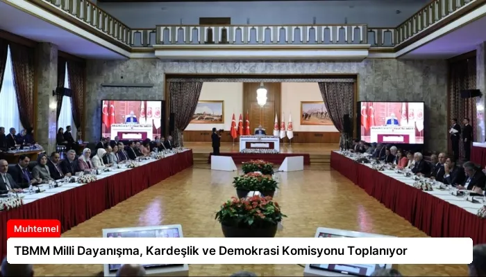 TBMM Milli Dayanışma, Kardeşlik ve Demokrasi Komisyonu Toplanıyor
