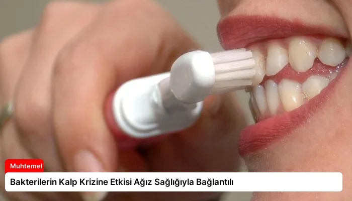 Bakterilerin Kalp Krizine Etkisi Ağız Sağlığıyla Bağlantılı