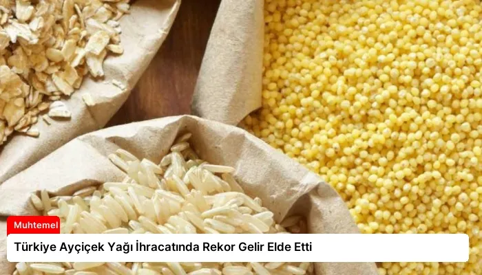 Türkiye Ayçiçek Yağı İhracatında Rekor Gelir Elde Etti