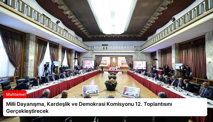 Milli Dayanışma, Kardeşlik ve Demokrasi Komisyonu 12. Toplantısını Gerçekleştirecek