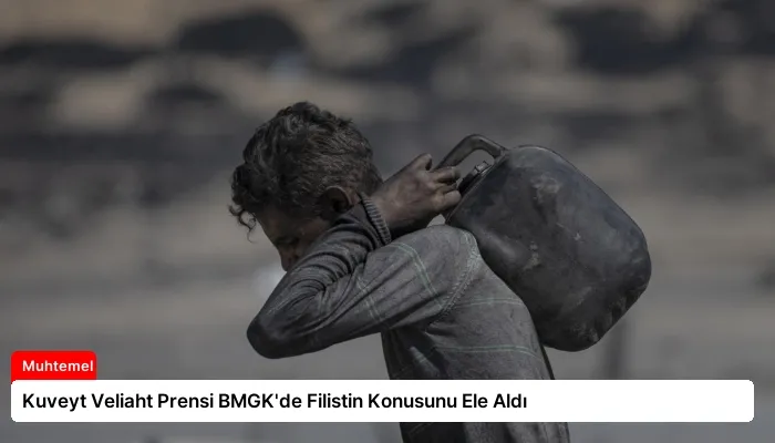 Kuveyt Veliaht Prensi BMGK’de Filistin Konusunu Ele Aldı
