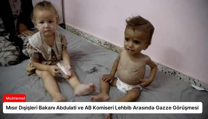 Mısır Dışişleri Bakanı Abdulati ve AB Komiseri Lehbib Arasında Gazze Görüşmesi