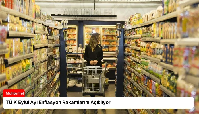 TÜİK Eylül Ayı Enflasyon Rakamlarını Açıklıyor