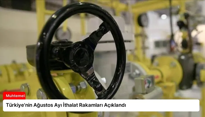 Türkiye’nin Ağustos Ayı İthalat Rakamları Açıklandı