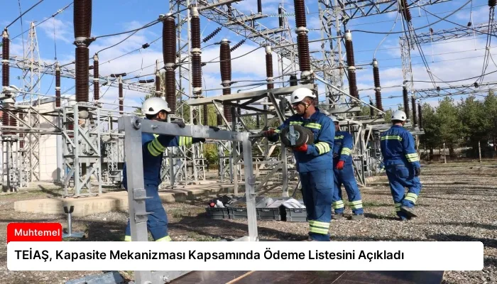 TEİAŞ, Kapasite Mekanizması Kapsamında Ödeme Listesini Açıkladı