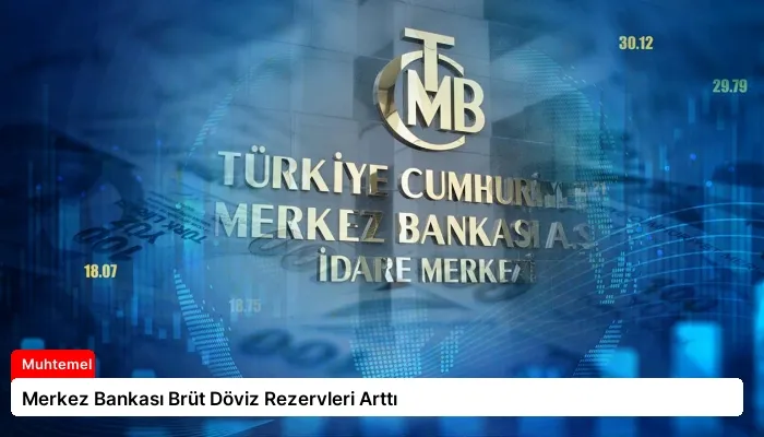 Merkez Bankası Brüt Döviz Rezervleri Arttı