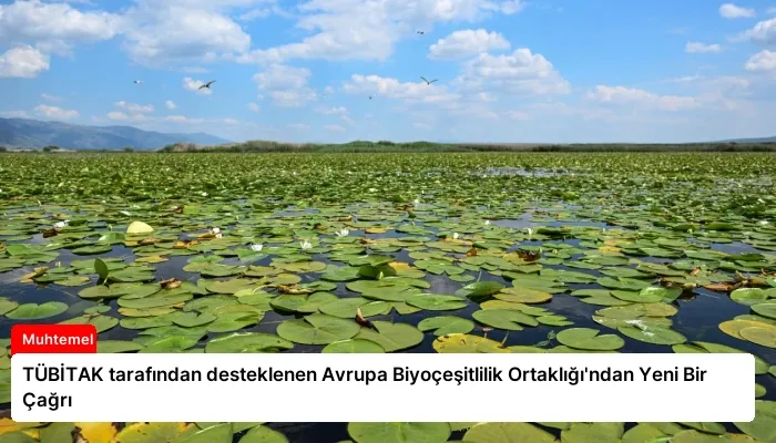 TÜBİTAK tarafından desteklenen Avrupa Biyoçeşitlilik Ortaklığı’ndan Yeni Bir Çağrı