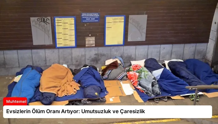 Evsizlerin Ölüm Oranı Artıyor: Umutsuzluk ve Çaresizlik