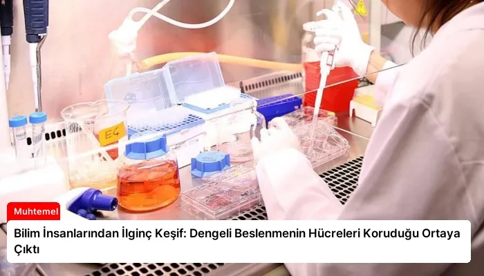 Bilim İnsanlarından İlginç Keşif: Dengeli Beslenmenin Hücreleri Koruduğu Ortaya Çıktı