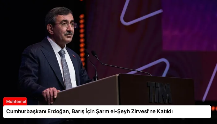 Cumhurbaşkanı Erdoğan, Barış İçin Şarm el-Şeyh Zirvesi’ne Katıldı