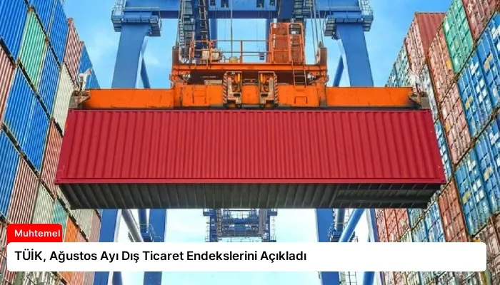 TÜİK, Ağustos Ayı Dış Ticaret Endekslerini Açıkladı