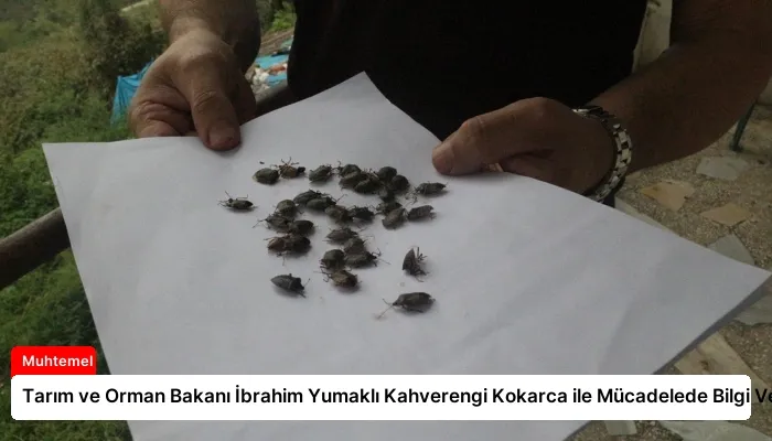Tarım ve Orman Bakanı İbrahim Yumaklı Kahverengi Kokarca ile Mücadelede Bilgi Verdi