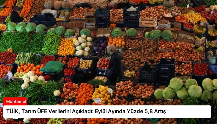 TÜİK, Tarım ÜFE Verilerini Açıkladı: Eylül Ayında Yüzde 5,8 Artış