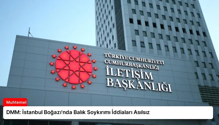 DMM: İstanbul Boğazı’nda Balık Soykırımı İddiaları Asılsız