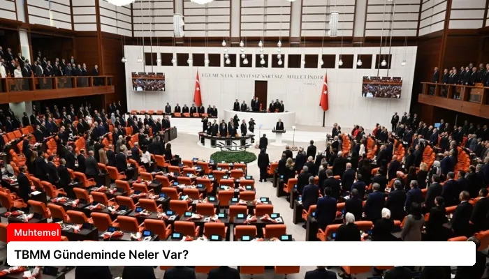 TBMM Gündeminde Neler Var?