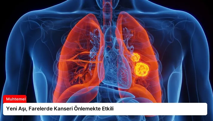 Yeni Aşı, Farelerde Kanseri Önlemekte Etkili