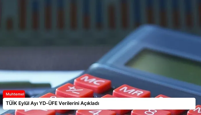 TÜİK Eylül Ayı YD-ÜFE Verilerini Açıkladı