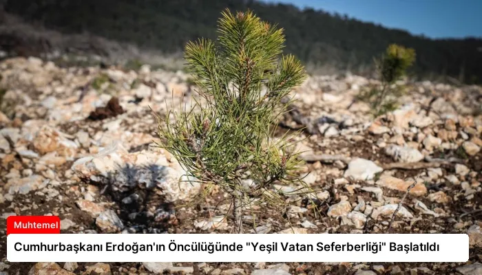Cumhurbaşkanı Erdoğan’ın Öncülüğünde “Yeşil Vatan Seferberliği” Başlatıldı
