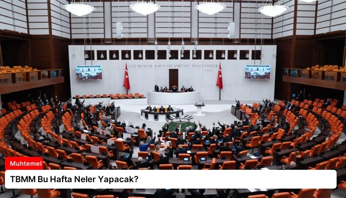 TBMM Bu Hafta Neler Yapacak?