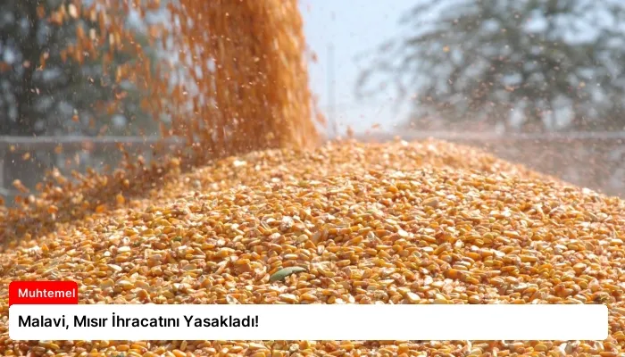 Malavi, Mısır İhracatını Yasakladı!