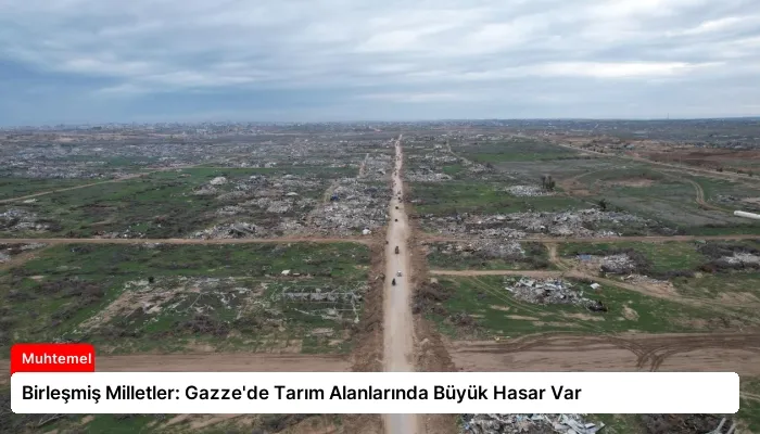 Birleşmiş Milletler: Gazze’de Tarım Alanlarında Büyük Hasar Var