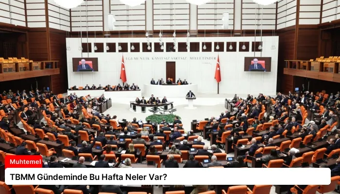 TBMM Gündeminde Bu Hafta Neler Var?