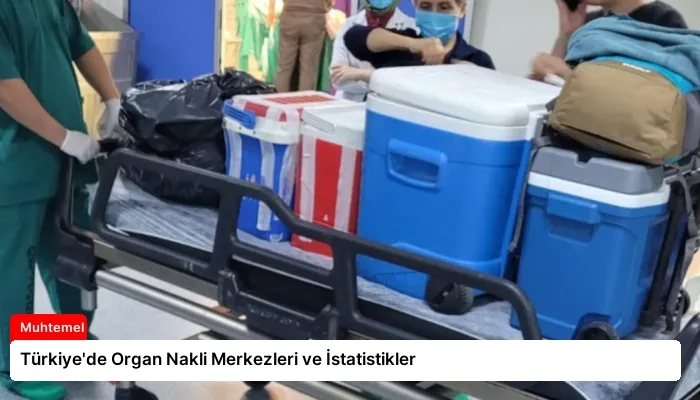 Türkiye’de Organ Nakli Merkezleri ve İstatistikler
