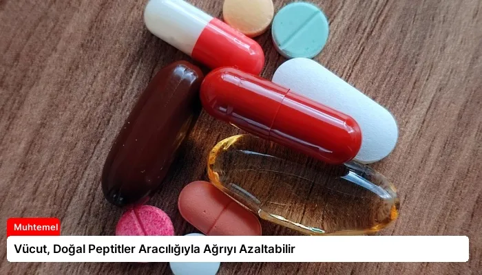 Vücut, Doğal Peptitler Aracılığıyla Ağrıyı Azaltabilir