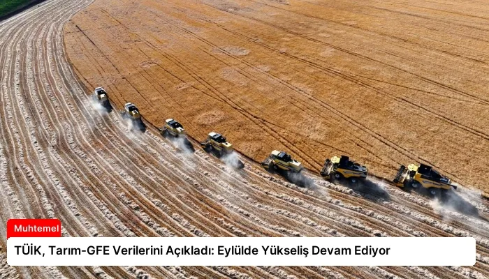 TÜİK, Tarım-GFE Verilerini Açıkladı: Eylülde Yükseliş Devam Ediyor