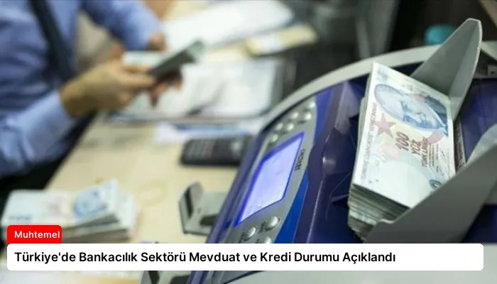 Türkiye’de Bankacılık Sektörü Mevduat ve Kredi Durumu Açıklandı