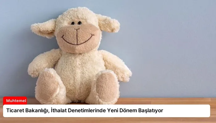 Ticaret Bakanlığı, İthalat Denetimlerinde Yeni Dönem Başlatıyor