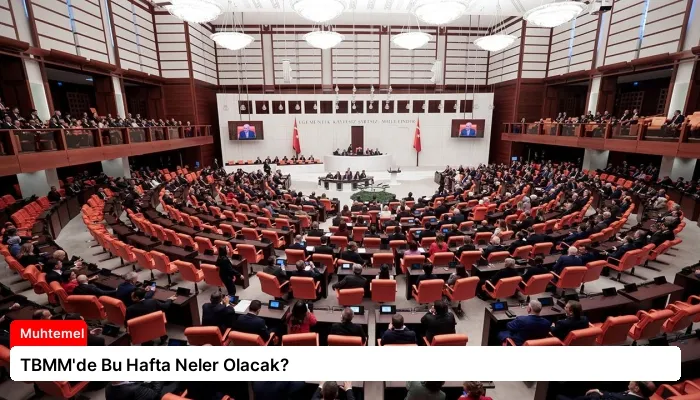 TBMM’de Bu Hafta Neler Olacak?