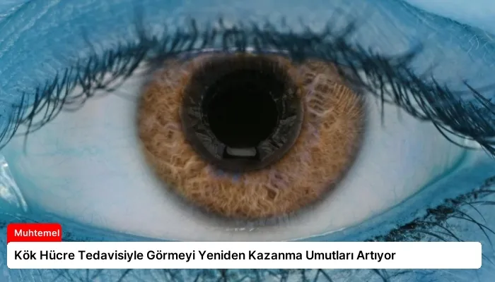 Kök Hücre Tedavisiyle Görmeyi Yeniden Kazanma Umutları Artıyor