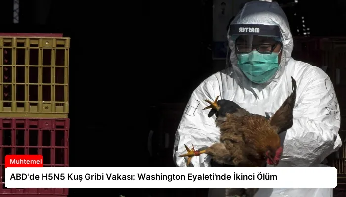 ABD’de H5N5 Kuş Gribi Vakası: Washington Eyaleti’nde İkinci Ölüm