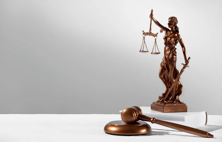 Tazminat Davalarında Profesyonel Desteğin Kritik Önemi