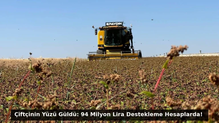 Çiftçinin Yüzü Güldü: 94 Milyon Lira Destekleme Hesaplarda!
