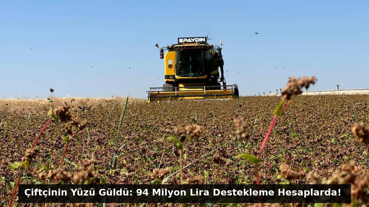 Çiftçinin Yüzü Güldü: 94 Milyon Lira Destekleme Hesaplarda!