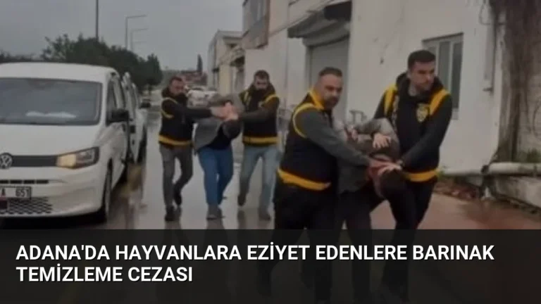 Adana’da hayvanlara eziyet edenlere barınak temizleme cezası
