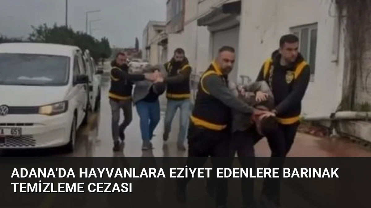 Adana’da hayvanlara eziyet edenlere barınak temizleme cezası