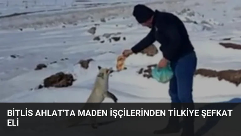 Bitlis Ahlat’ta Maden İşçilerinden Tilkiye Şefkat Eli