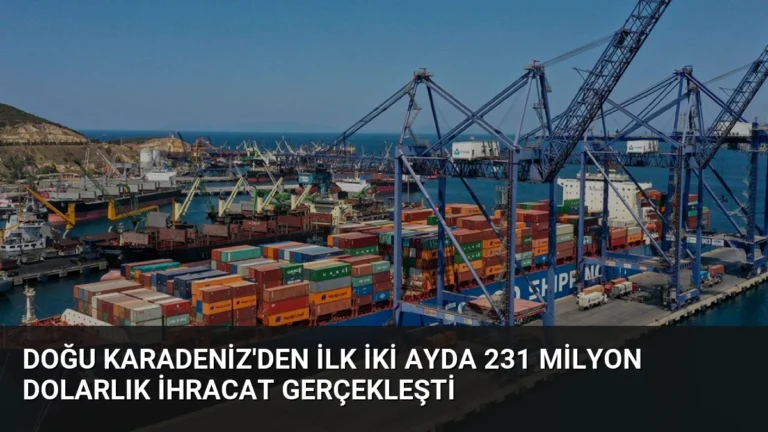 Doğu Karadeniz’den İlk İki Ayda 231 Milyon Dolarlık İhracat Gerçekleşti