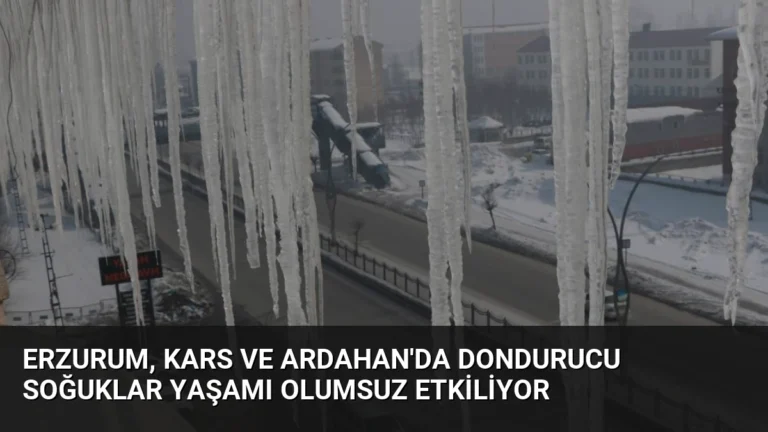 Erzurum, Kars ve Ardahan’da Dondurucu Soğuklar Yaşamı Olumsuz Etkiliyor