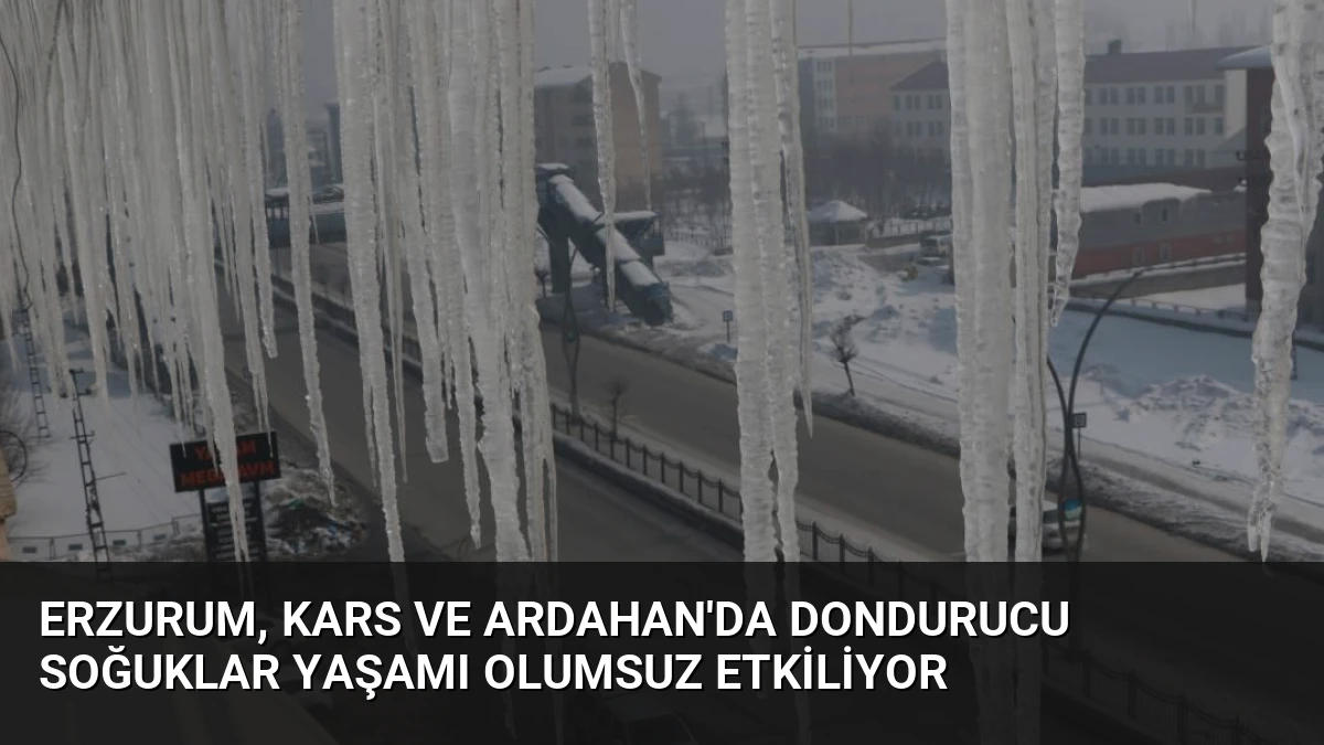 Erzurum, Kars ve Ardahan’da Dondurucu Soğuklar Yaşamı Olumsuz Etkiliyor