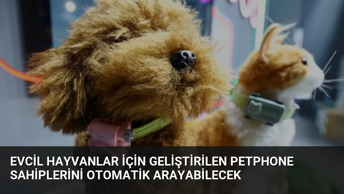 Evcil Hayvanlar İçin Geliştirilen PetPhone Sahiplerini Otomatik Arayabilecek