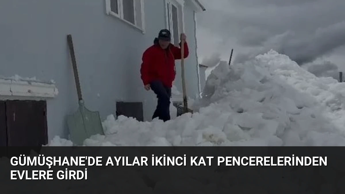 Gümüşhane’de Ayılar İkinci Kat Pencerelerinden Evlere Girdi