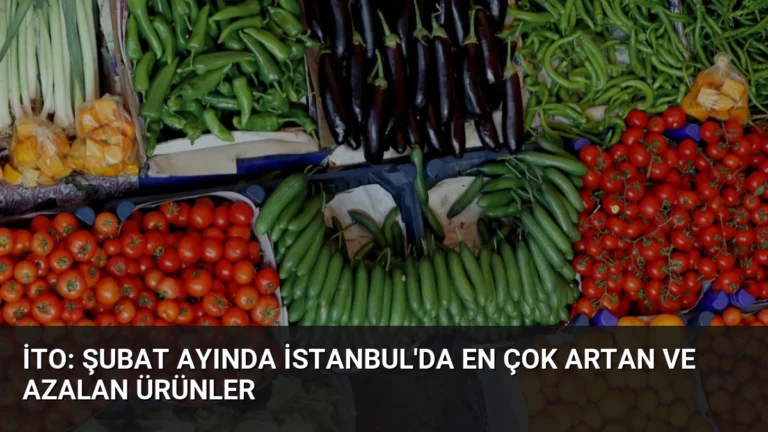 İTO: Şubat Ayında İstanbul’da En Çok Artan ve Azalan Ürünler