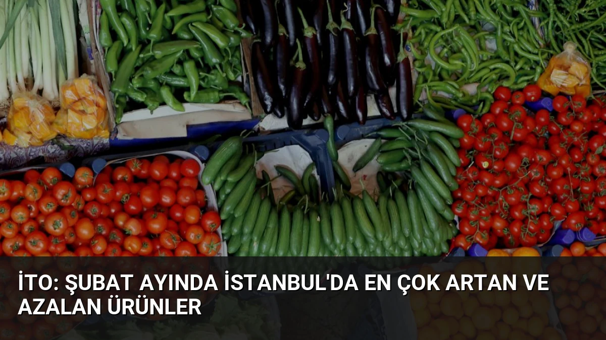 İTO: Şubat Ayında İstanbul’da En Çok Artan ve Azalan Ürünler